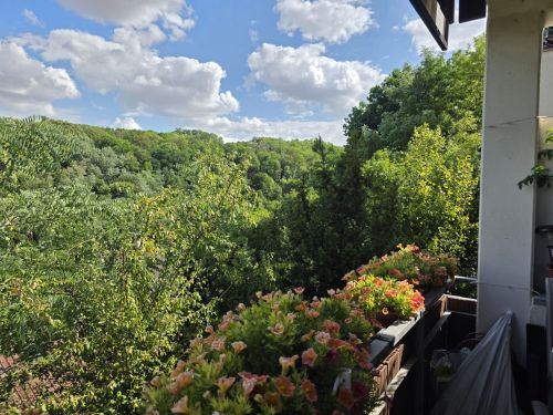 3-Zimmer-Eigentumswohnung mit herrlichem Ausblick in 97199 Ochsenfurt Westsiedlung (ID 10712) - Erdgeschoßwohnung Ochsenfurt Ochsenfurt , Unterfr | Angebot:27263612