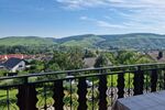 2-Familienhaus + ELW mit malerischem Ausblick in 97250 Erlabrunn Würzburg (ID 10466) - Mehrfamilienhaus, Wohnhaus Erlabrunn Erlabrunn , Unterfr | Angebot:22109882